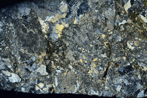 Cross Polarized, S78489