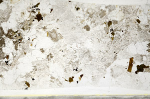 Plane Polarized, S78494