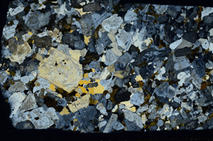 Cross Polarized, S78495