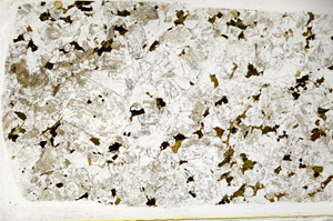 Plane Polarized, S78495