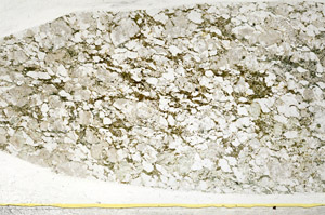 Plane Polarized, S78496