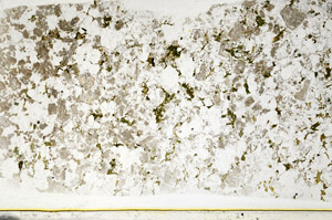 Plane Polarized, S78498