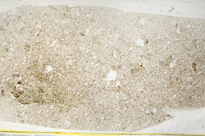 Plane Polarized, S78499