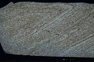 Cross Polarized, S78500