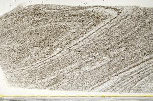 Plane Polarized, S78500