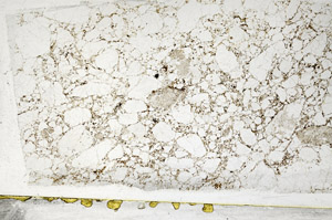 Plane Polarized, S78501