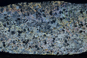 Cross Polarized, S78502