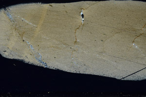 Cross Polarized, S78504