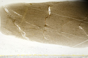 Plane Polarized, S78504