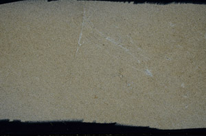 Cross Polarized, S78506