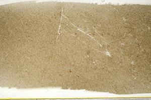 Plane Polarized, S78506