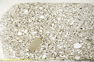 Plane Polarized, S78507