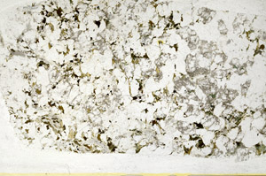 Plane Polarized, S78509