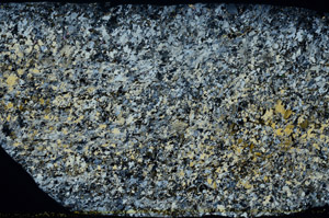 Cross Polarized, S78510