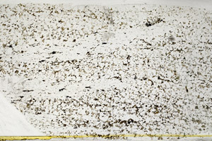 Plane Polarized, S78510