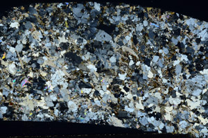 Cross Polarized, S78513