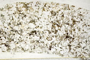 Plane Polarized, S78513