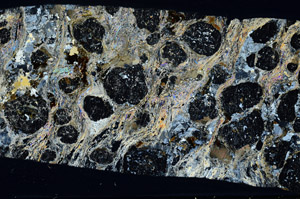 Cross Polarized, S78514