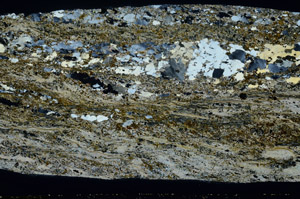 Cross Polarized, S78515