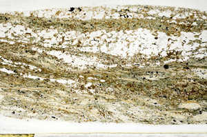 Plane Polarized, S78515