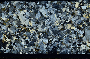 Cross Polarized, S78517