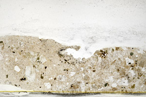 Plane Polarized, S78529