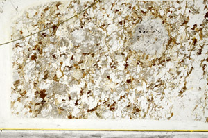 Plane Polarized, S78530