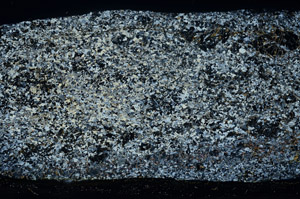 Cross Polarized, S78531