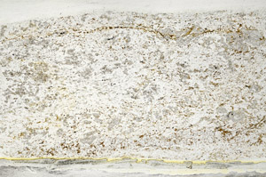 Plane Polarized, S78531