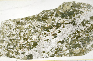 Plane Polarized, S78534