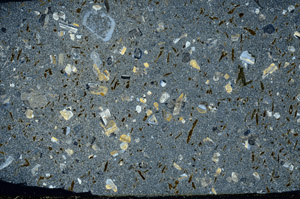 Cross Polarized, S78536