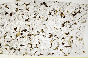 Plane Polarized, S78537