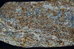 Cross Polarized, S78538