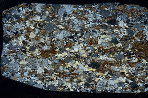 Cross Polarized, S78539