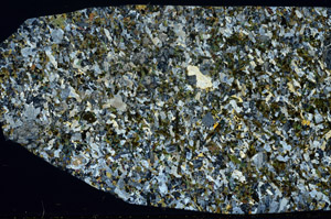 Cross Polarized, S78542