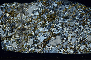 Cross Polarized, S78553