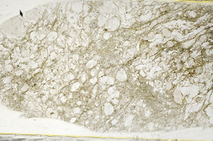 Plane Polarized, S78556