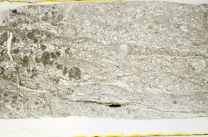 Plane Polarized, S78557