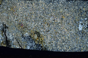 Cross Polarized, S78562