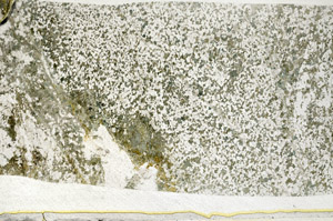 Plane Polarized, S78562