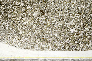 Plane Polarized, S78566