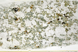 Plane Polarized, S78570