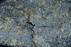 Cross Polarized, S78574