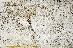 Plane Polarized, S78574