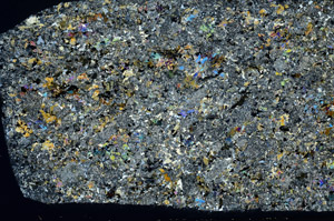 Cross Polarized, S78575