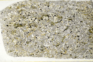 Plane Polarized, S78575