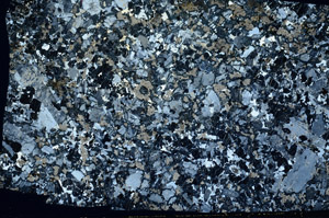 Cross Polarized, S78576