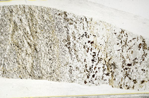 Plane Polarized, S78577