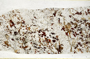 Plane Polarized, S78578