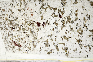 Plane Polarized, S78579